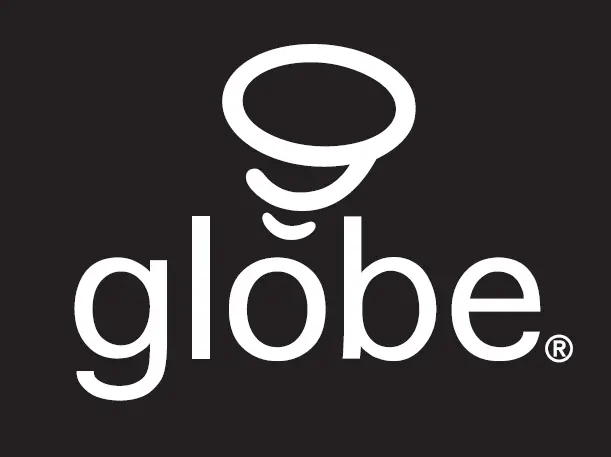 globe 65558 Alexandria 10 Inch 2 Light Matte Black logo