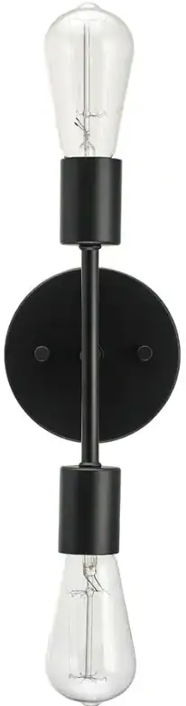 globe 65558 Alexandria 10 Inch 2 Light Matte Black product