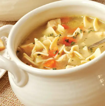 CHICKEN NOODLE SOUP
