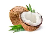 Coconut