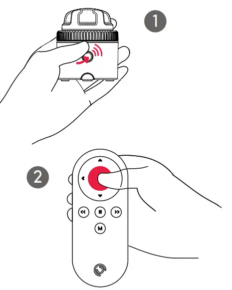 3i PVI1R02 PIVO Remote Control