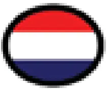 Flag icon