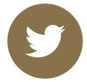 cleer ALLY PLUS II True Wireless Noise Canceling Headphone - Tw