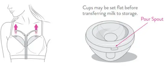 freemie FG083 Hands Free Wearable Breast Pump - After Pumping