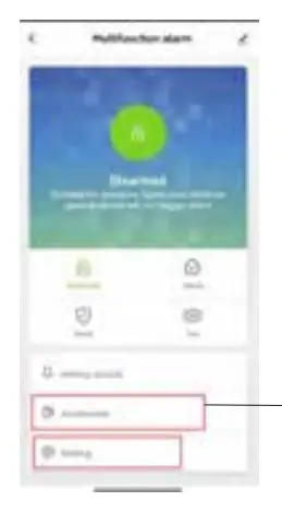 Pairing and Instruction