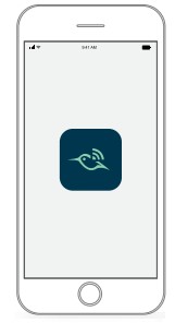 Arlo Chime User instructions