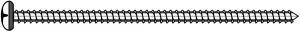 Screw 180831