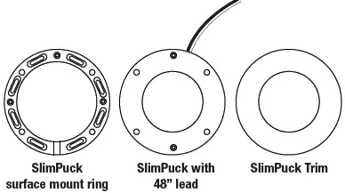 GM Lighting-24VDC-Surface-Recess-Mount-LED-Slim-Puck-FIG-1