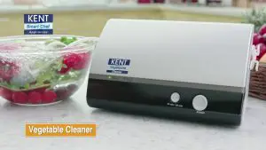 FIG 2 KENT Vegetable Cleaner