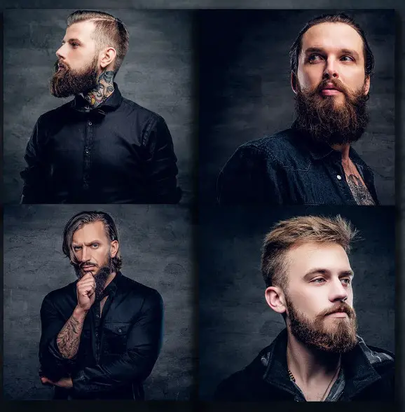 EVOREI Blade 2 Multifunctional Facial Hair Trimmer - fig 1