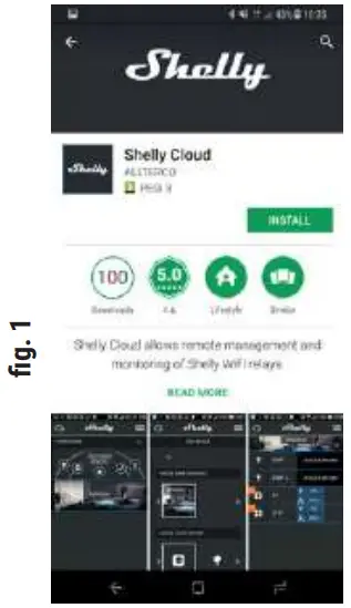 Shelly S171 Smart WiFi Plug - Figure 2