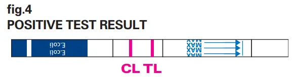 MEGACOR-FASTest-E-coli-K99-Strip-FIG-5