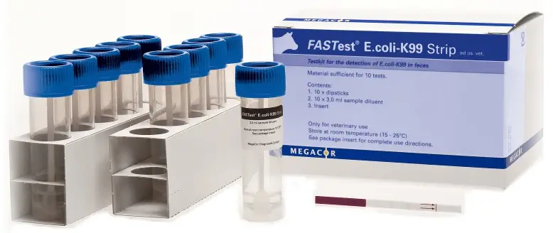 MEGACOR-FASTest-E-coli-K99-Strip-PRODUCT