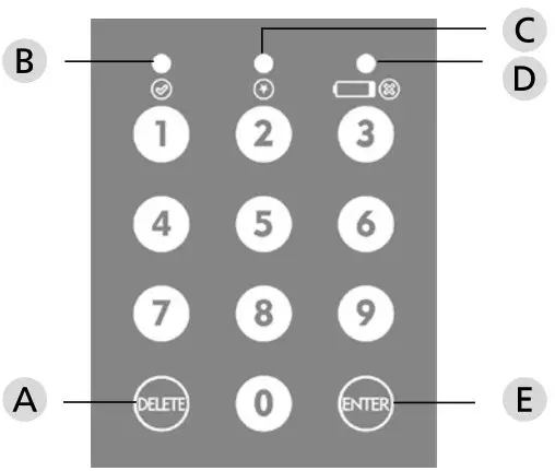 BURG WACHTER FAVOR S3E Safe Locker - Structure