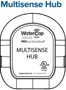 Multisense Hub