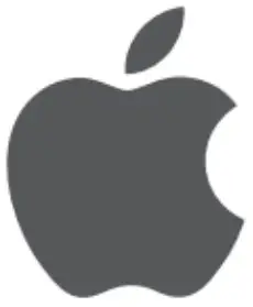 Apple Icon