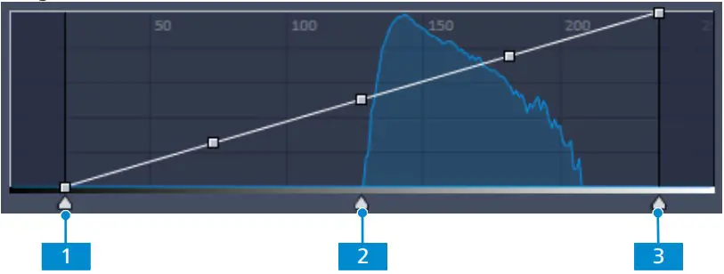 ZEISS ZEN blue edition Microscope Software - Adjusting Live Image Settings