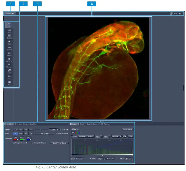 ZEISS ZEN blue edition Microscope Software - Center Screen Area