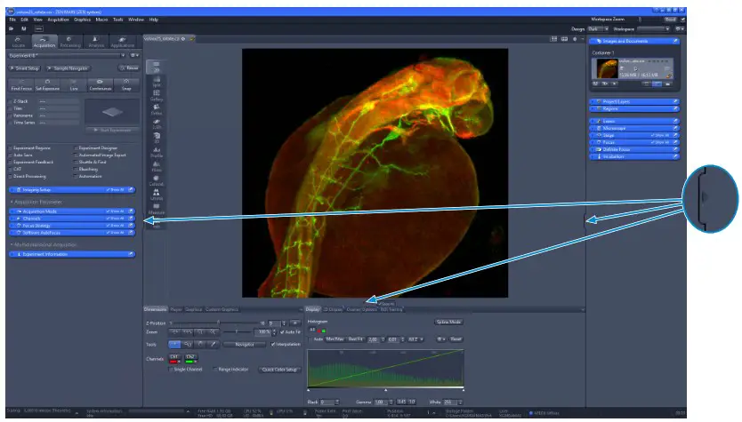 ZEISS ZEN blue edition Microscope Software - Showing Hiding Workspace Areas