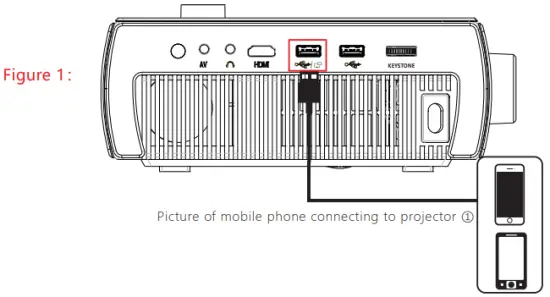 Apple devices for Screen mirroring