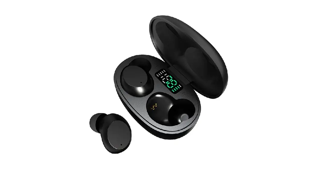Dns Twp1 True Wireless Earbuds User Manual