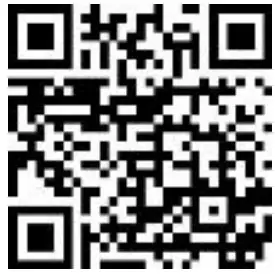 myTEM MTSWI 100 W Radio Switch Dual - QR code