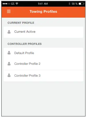 CURT ECHO Mobile Brake Control SETUP