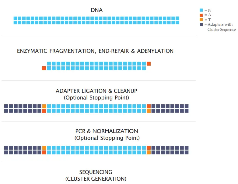 Sample flow chart