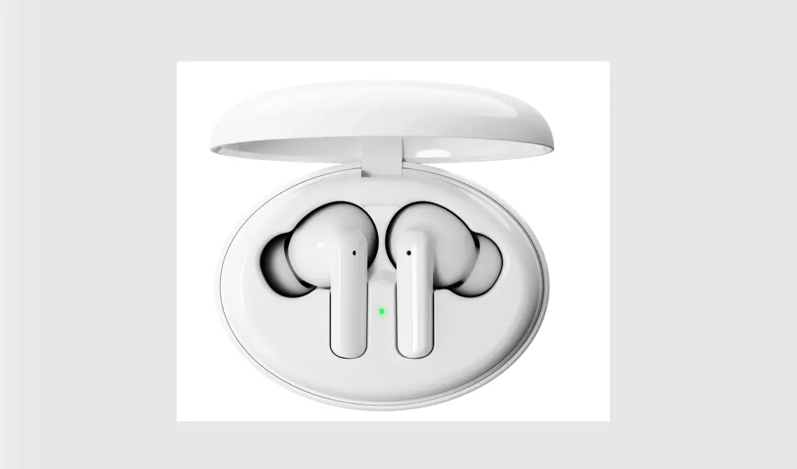 Zaofepu Tws100 True Wireless Stereo Earbuds User Guide Zaofepu Tws100 True Wireless Stereo Earbuds User Guide