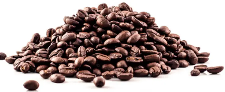 DASH DSIM100 Shaved Ice Maker - COLD BREW