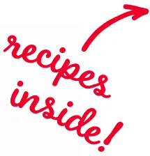 DASH DSIM100 Shaved Ice Maker - ICON