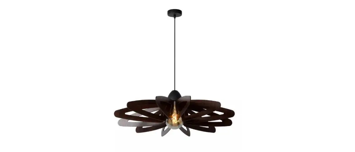 Lucide Zidane Pendant Light Instructions