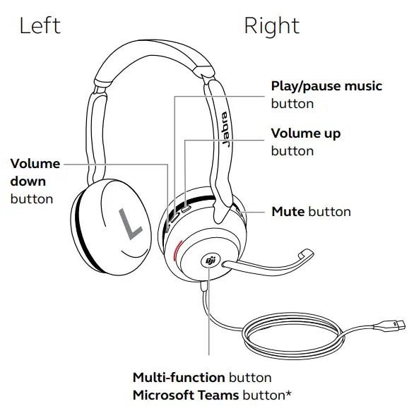 Jabra EVOLVE2 30 Wired Mono Headset - How to use