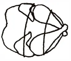 Ronco ST4000BLGEN Showtime 4000 Series Rotisserie 10