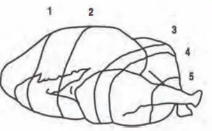 Ronco ST4000BLGEN Showtime 4000 Series Rotisserie 11