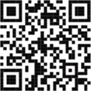 REXING V1P 4K UHD - QR Code - Instagram