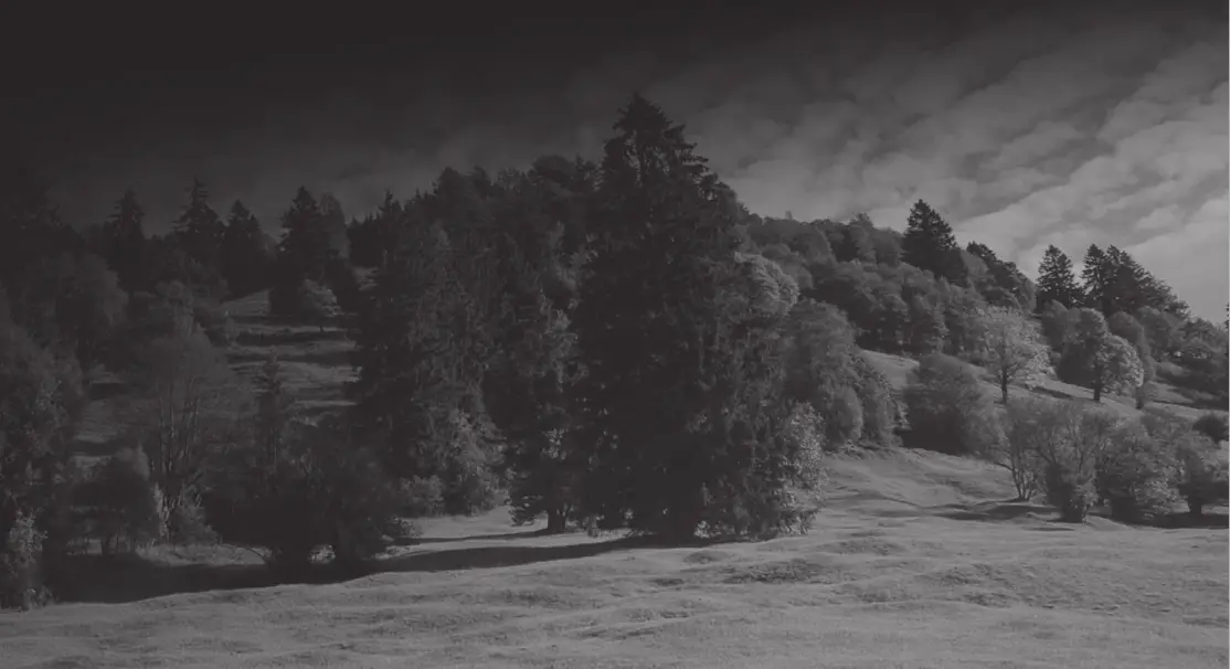 GARLAND Roll and Comb 602 QG Lawnmower - fig