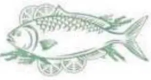 Continental Edison CECUF235NFW 238L Freezer User Manual - Fish and seafood