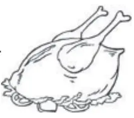 Continental Edison CECUF235NFW 238L Freezer User Manual - Poultry