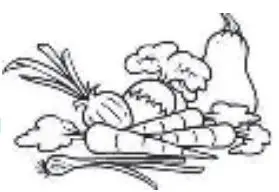 Continental Edison CECUF235NFW 238L Freezer User Manual - Vegetable and fresh fruit