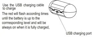 FIG 11 Charging Ways of Charging Base
