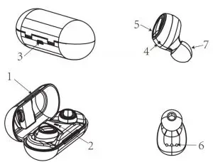 FIG 3 Structure Sketch