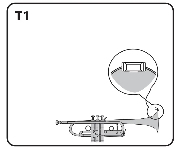 Trumpet