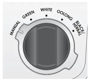 WOLF WGKT100S True Temperature Electric Kettle - CHOOSING