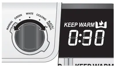 WOLF WGKT100S True Temperature Electric Kettle - warm time