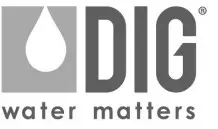 DIG logo