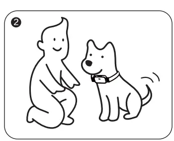 DOGCARE EC11 Dog Training System-Fig2