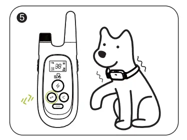DOGCARE EC11 Dog Training System-Fig5