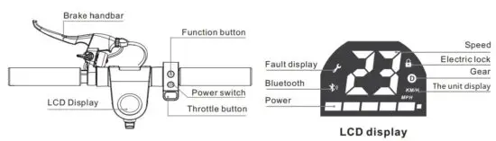 FIG 5 Overall View.JPG