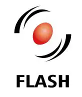 flash logo